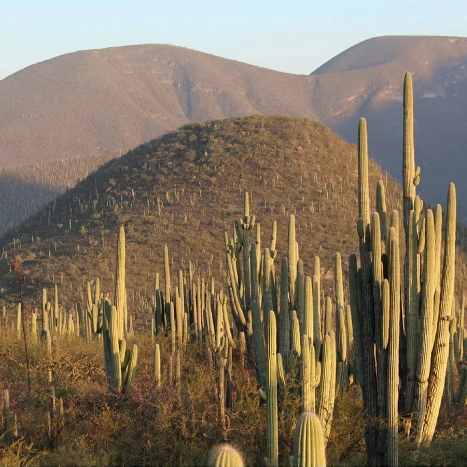 I migliori eventi aziendali a Tehuacán