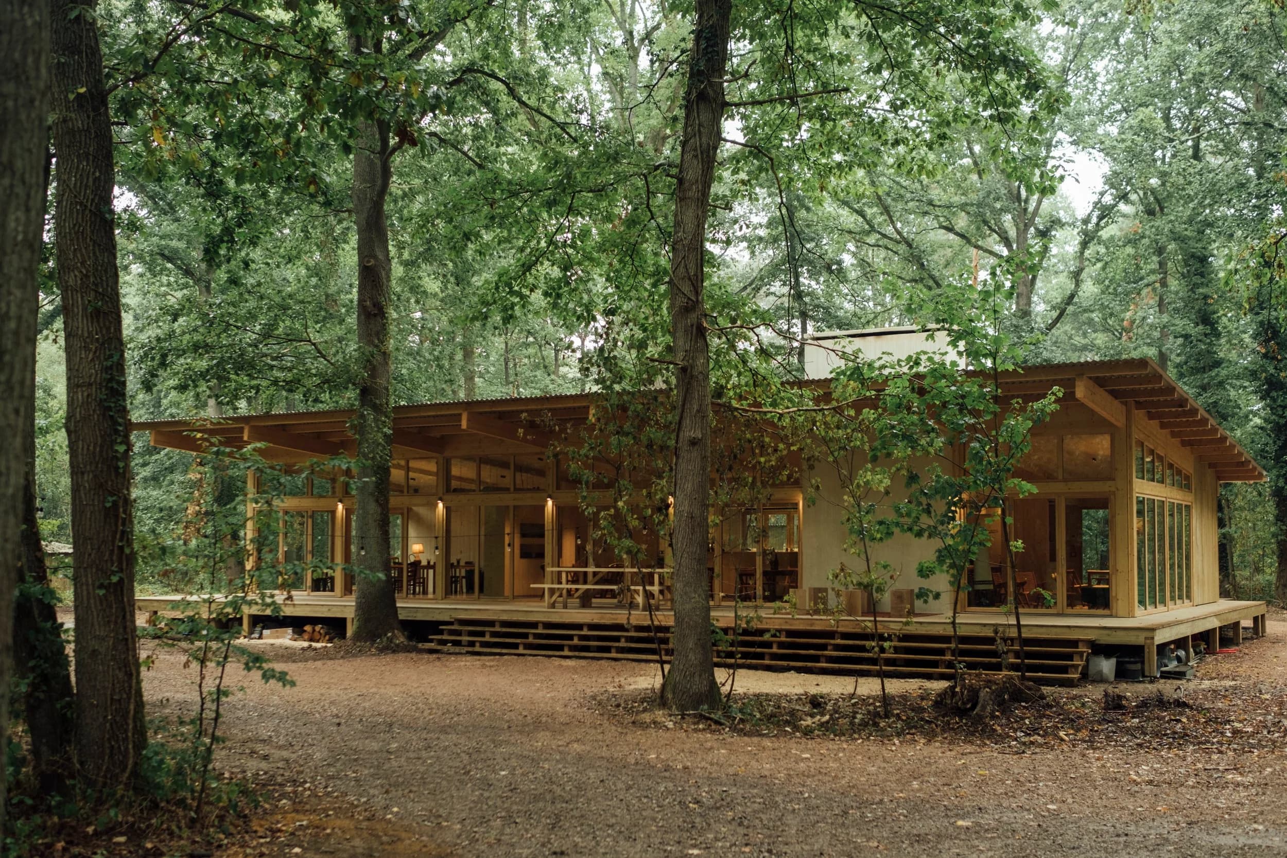 Image of a hut in the woods