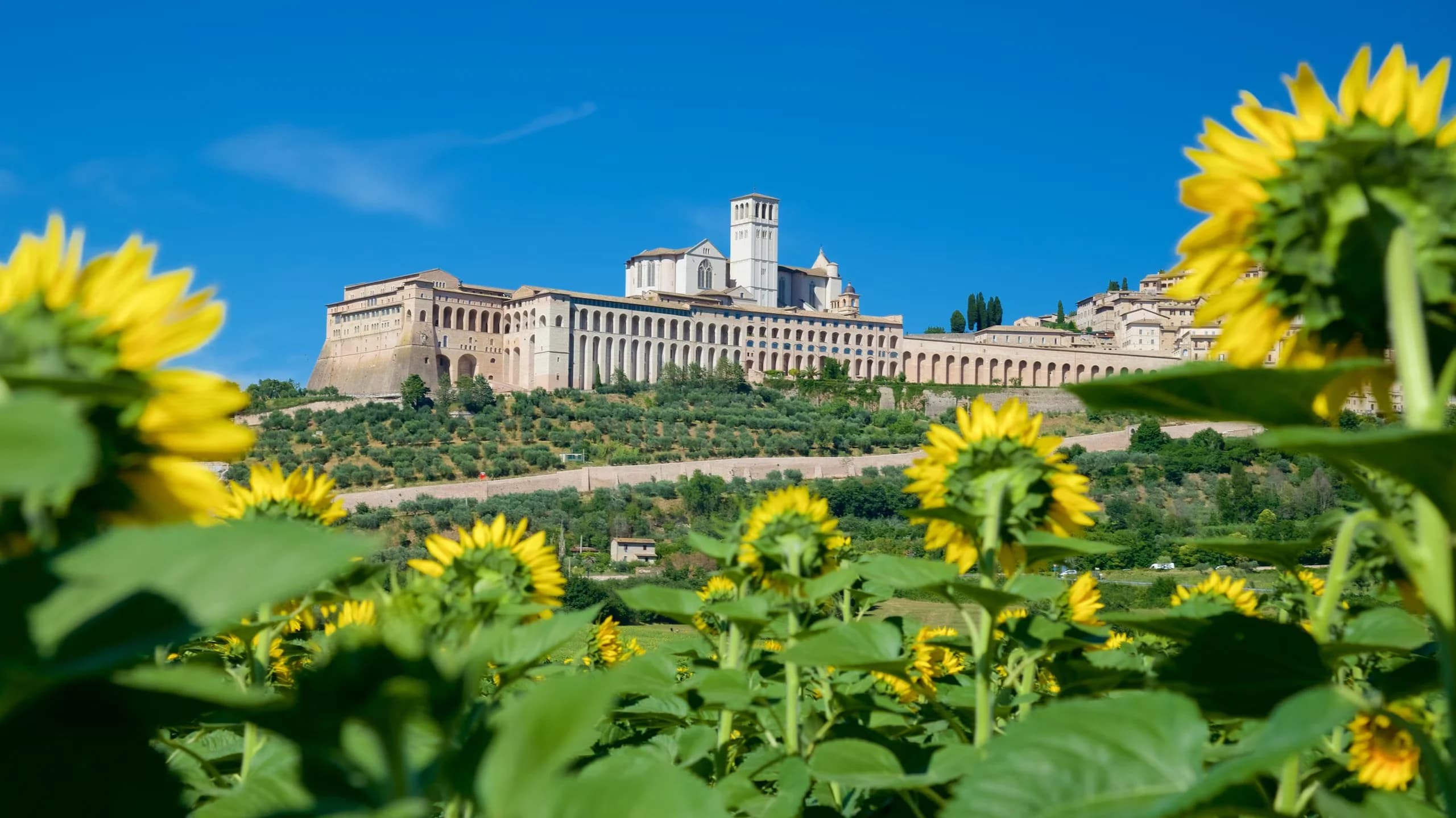 Eventi aziendali in Umbria