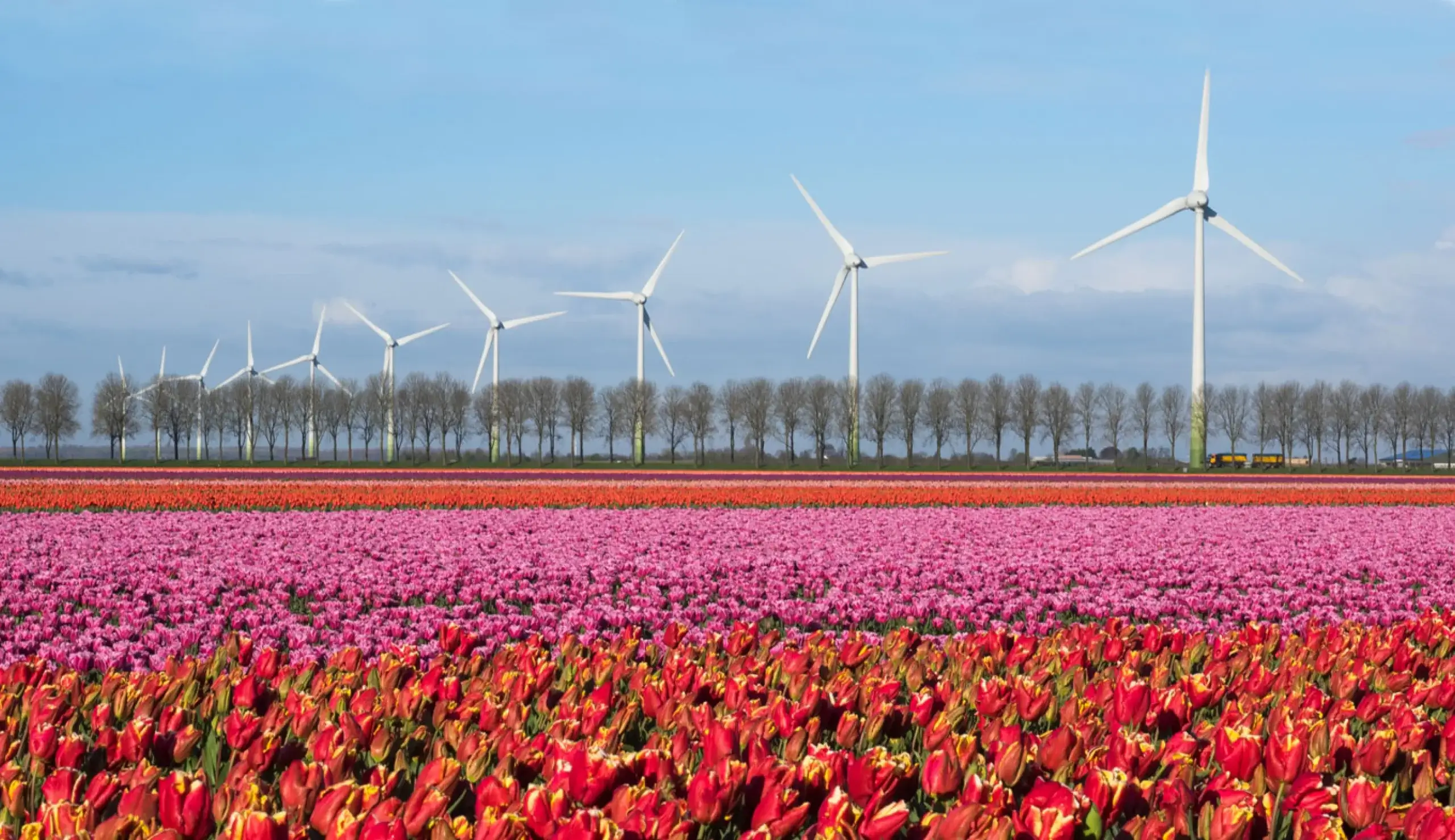 Seminars in Flevoland
