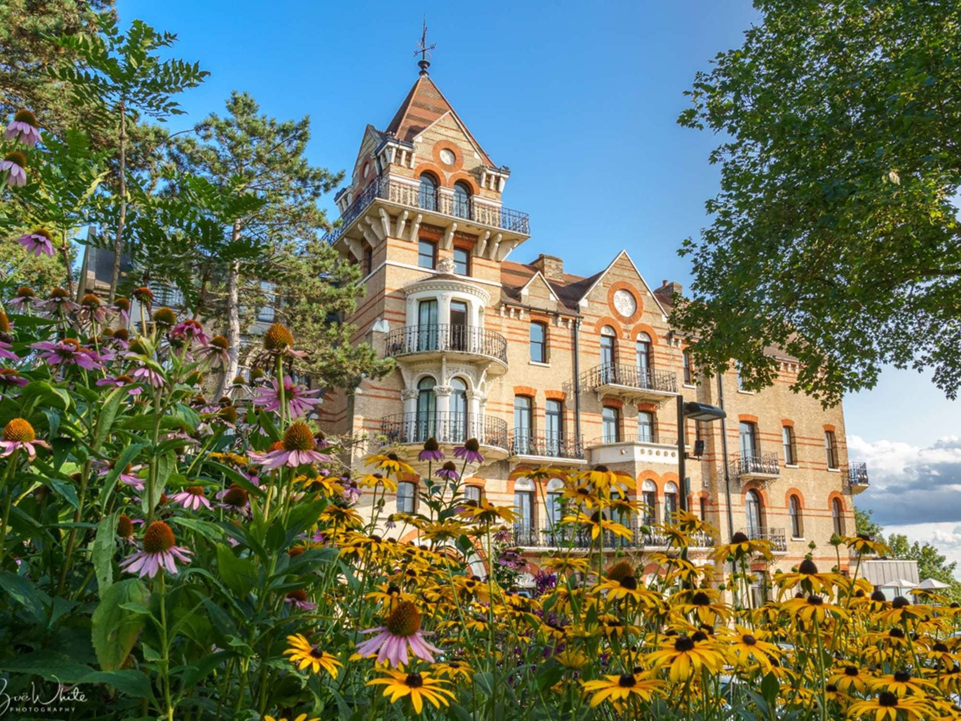 photo de The Petersham Hotel